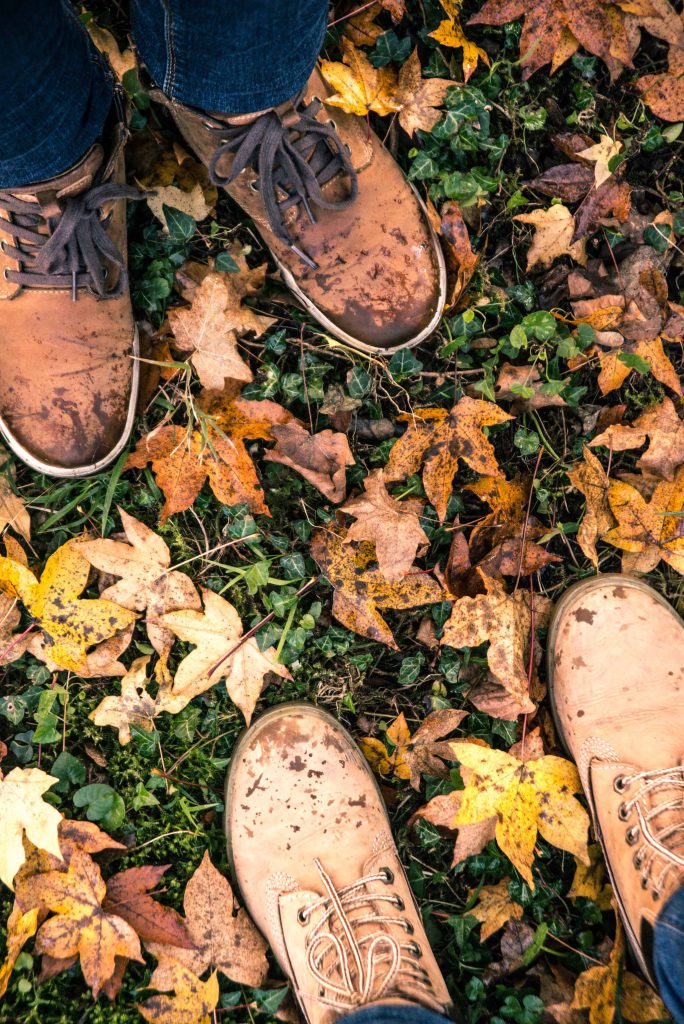 Two pairs of brown boots standing on the ground full of dry yellow leaves.